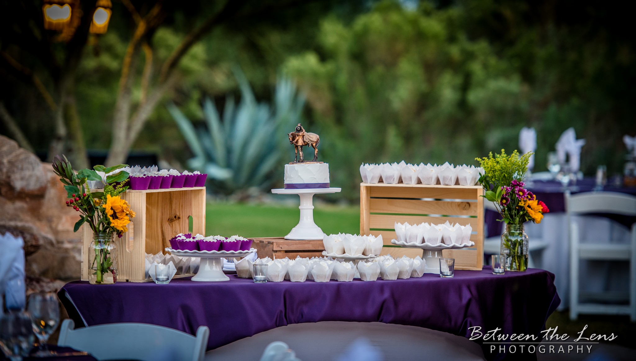 Cupcakes on a Display Table